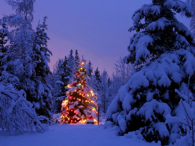 cold-christmas-landscapes-winter-landscape-1-screensaver~01.jpg