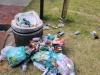 [KDBS 보도] 5월 9일 (화) "쓰레기로 더럽혀진 교내 야외 시설, 학우들의 참여 당부"